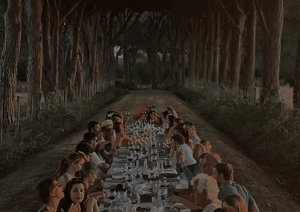 Dinner in the woods